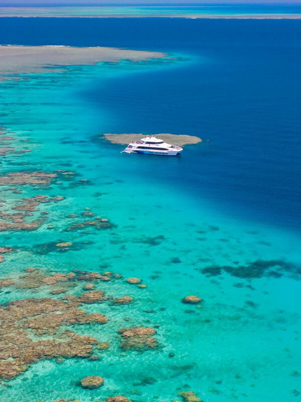 Great Barrier Reef Dive & Snorkel Trips, Port Douglas & Cairns ...